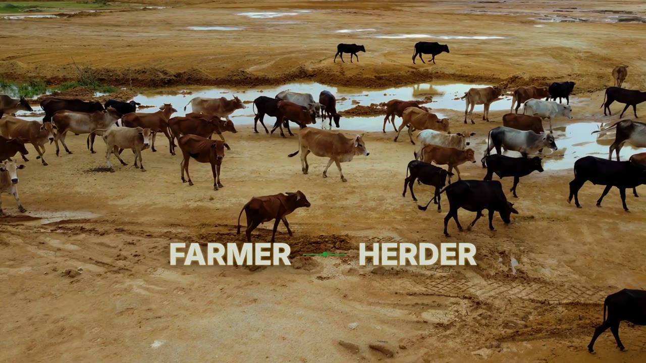 THE HERDER