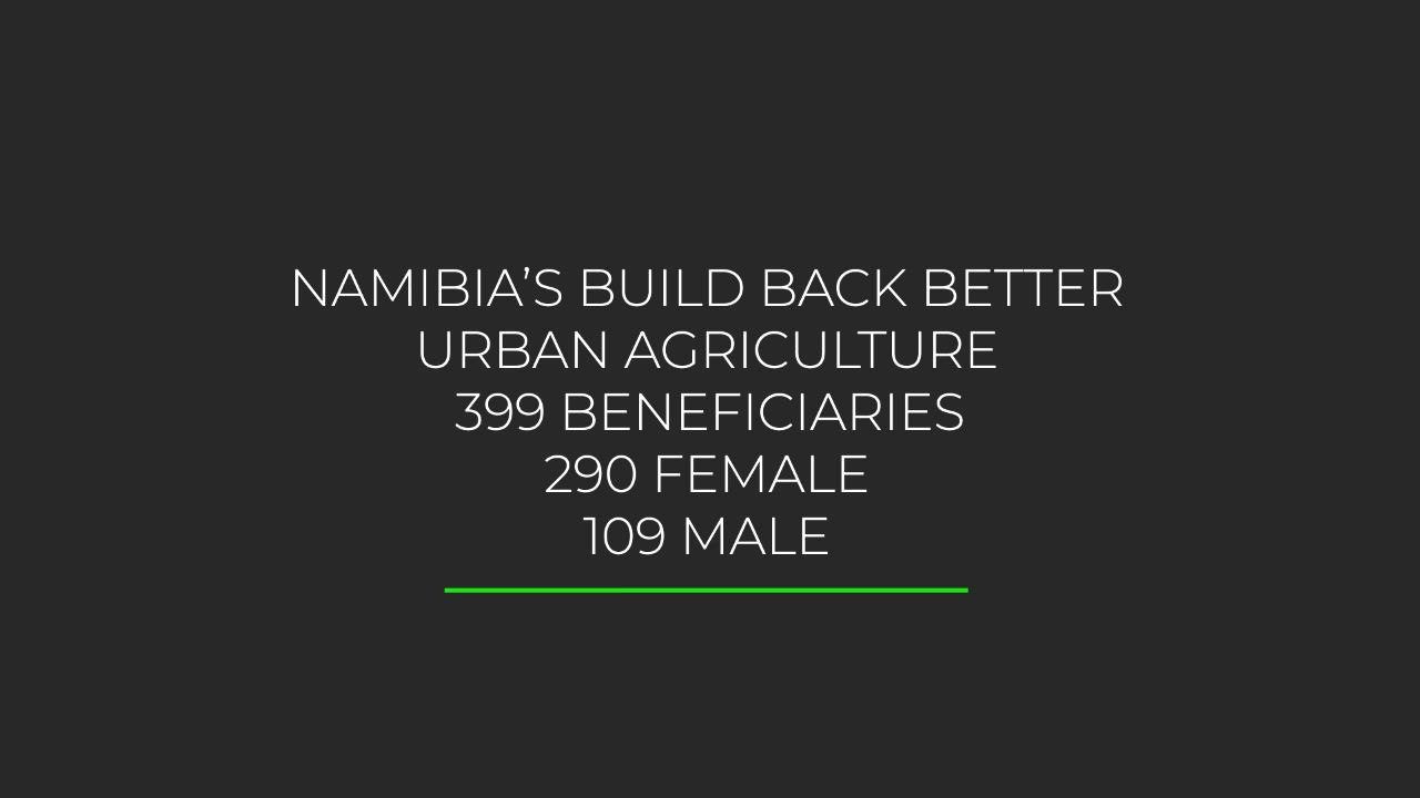 UNDP Documentary